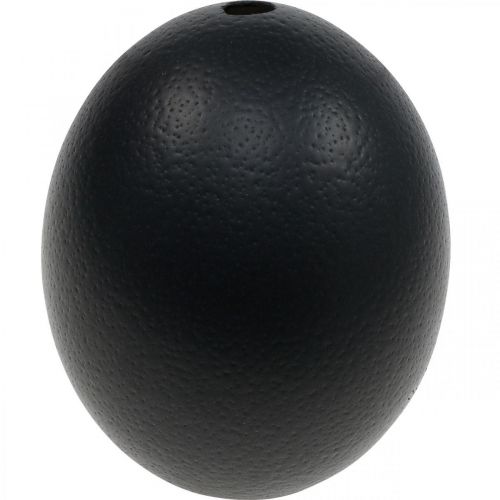 Décoration oeuf d&#39;autruche soufflé déco Pâques noir Ø12cm H14cm