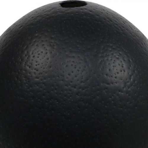 Œuf d'autruche décoratif noir Ø12cm H14cm | Floristik24.fr