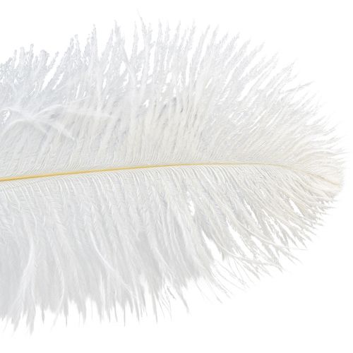 Article Plumes d&#39;Autruche Décoration Exotique Plumes Blanches 32-35cm 4pcs