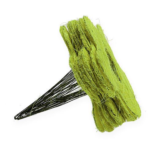 Floristik24 Manchette Sisal Fleur Vert Ø25cm 6pcs