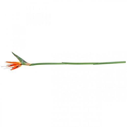 Floristik24 Strelizie reginae fleur artificielle orange oiseau de paradis L85cm