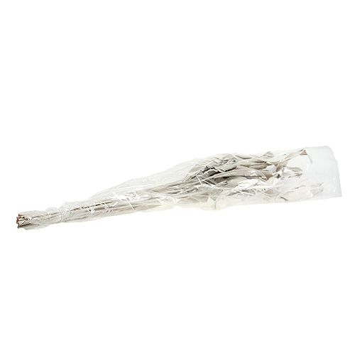 Floristik24 Feuilles décoratives Feuilles de Strelitzia blanchies à la chaux 120cm 10 pcs