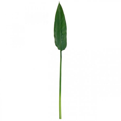 Floristik24 Strelitzia Perroquet Fleur Feuille Décorative Strelitzia Feuille Vert L81cm