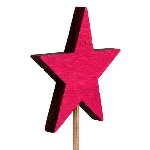 Article Star Fuchsia en tant que prise 7cm 12pcs