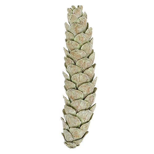 Article Cônes Strobus comme décoration naturelle 15cm - 20cm vert 50 pcs