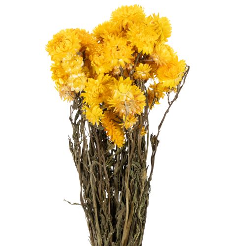 Bouquet de fleurs séchées d'immortelle jaune (Helichrysum), 100 g