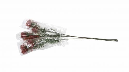 Floristik24 Branche Xanthium Bordeaux 69cm 3pcs