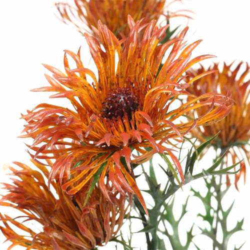 Floristik24 Branche de xanthium orange 69cm 3pcs