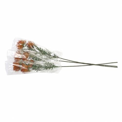 Floristik24 Branche de xanthium orange 69cm 3pcs