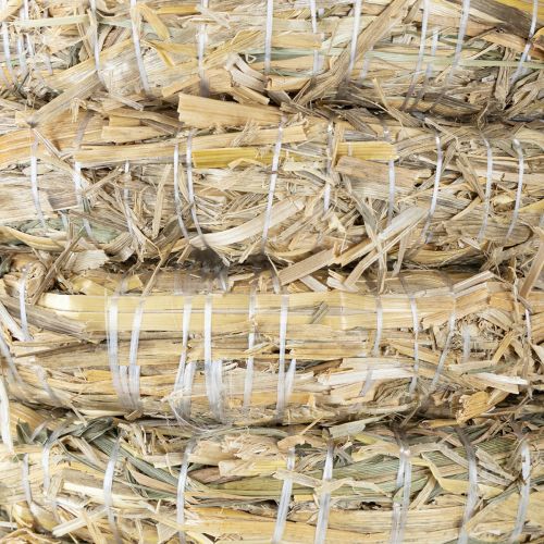 Article Couronne de paille vierge, petite couronne de paille de 15 cm x 3 cm, lot de 10 pièces