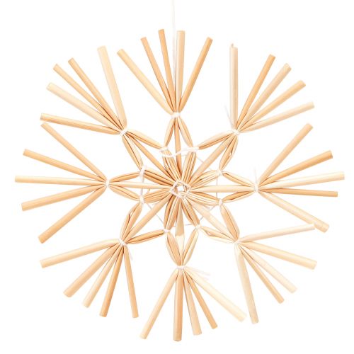Floristik24 Décorations de sapin de Noël étoiles en paille Ø10-11cm 12 pcs