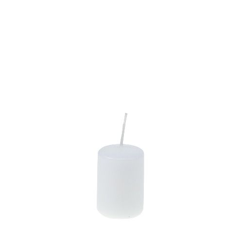 Floristik24 Bougies piliers bougies de l&#39;Avent blanches petites bougies 60/40mm 24pcs