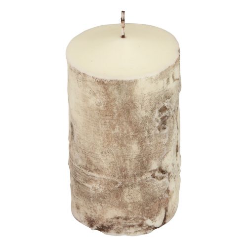 Floristik24 Bougie pilier en écorce d&#39;arbre, décor de bouleau, crème 140/80mm