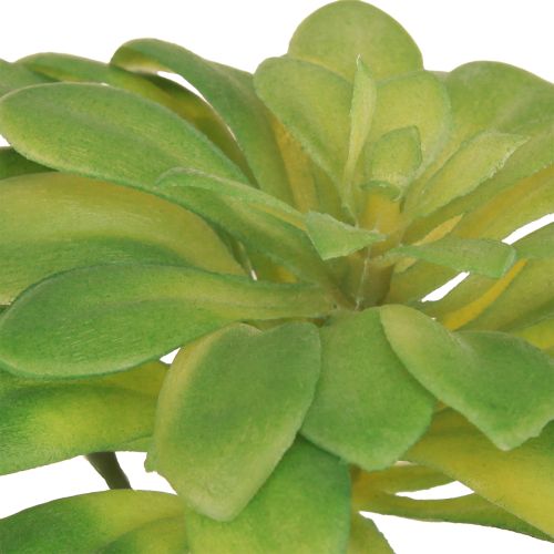 Article Plante artificielle succulente avec pic Aeonium Vert 30cm 4 pcs