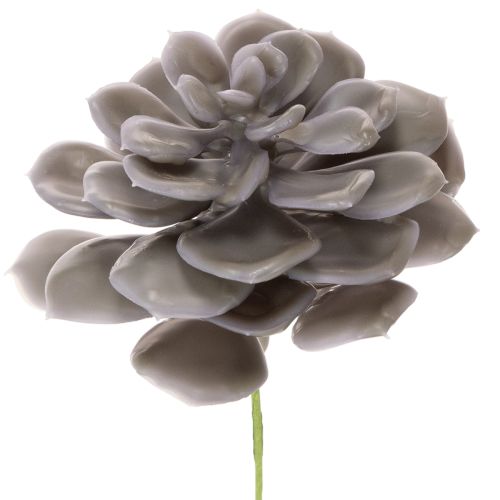 Kunstsucculentes en cire gris-vert 10cm Lot de 6 acheter | Floristik24.fr