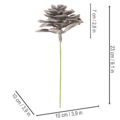Kunstsucculentes en cire gris-vert 10cm Lot de 6 | Floristik24.fr