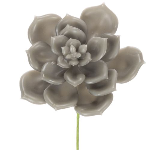 Kalanchoé artificielle en cire avec tige en fil de fer 8 cm, lot de 8 acheter | Floristik24.fr
