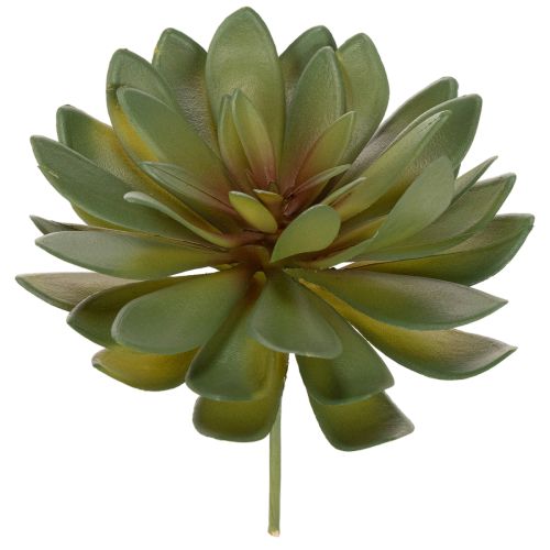 Lot de 3 succulentes artificielles vertes 18 cm pour décoration intérieure