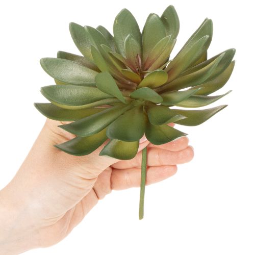 Lot de 3 succulentes artificielles vertes 18 cm pour décoration intérieure | Floristik24.fr