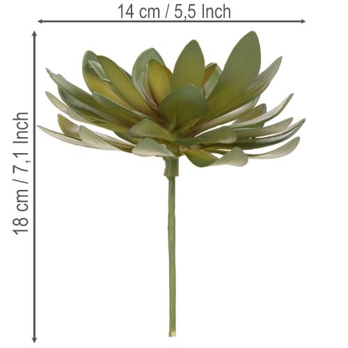 Lot de 3 succulentes artificielles vertes 18 cm pour décoration intérieure | Floristik24.fr