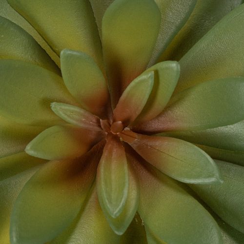 Lot de 3 succulentes artificielles vertes 18 cm pour décoration intérieure | Floristik24.fr