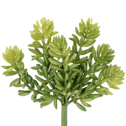 Floristik24 Fleurs succulentes artificielles pour une décoration facile d'entretien des espaces de vie et de bureau, 15 cm, lot de 5