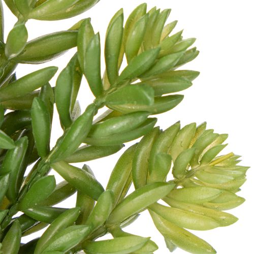 Article Fleurs succulentes artificielles pour une décoration facile d'entretien des espaces de vie et de bureau, 15 cm, lot de 5