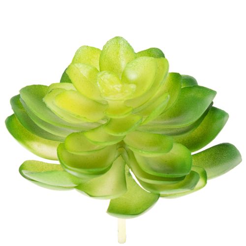 Lot de 4 succulentes artificielles vertes pour décoration intérieure 10 cm