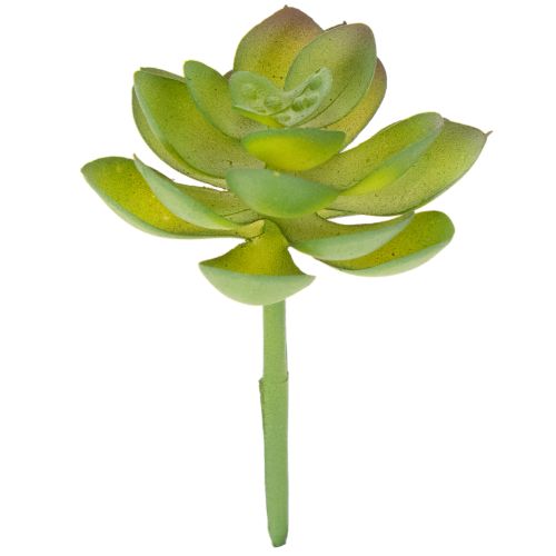 Plante artificielle succulente verte 9 cm pour décoration intérieure | Floristik24.fr
