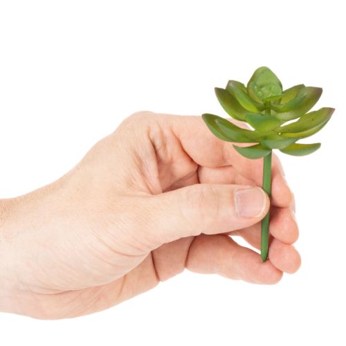 Kunstpflanze Sukkulente verte en plastique 9 cm pour décoration intérieure | Floristik24.fr
