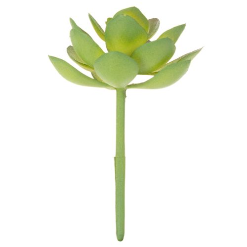 Kunstpflanze Sukkulente verte en plastique 9 cm pour décoration intérieure | Floristik24.fr