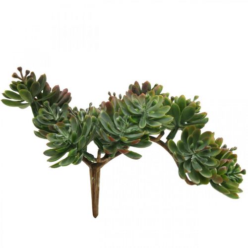 Floristik24 Succulente artificielle à coller verte, rouge 12cm