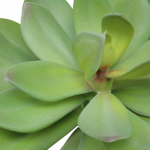 Article Succulente artificielle verte 27cm