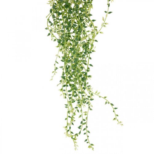 Article Plante succulente suspendue artificielle verte 96cm