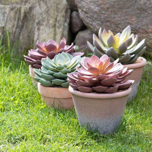 Plante succulente en pot Echeveria artificielle rouge vintage Ø15cm H16cm