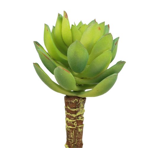 Plante Verte Artificielle Succulente Echeveria Vert Ø5,5cm 12,5cm