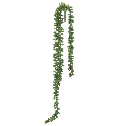 Guirlande suspendue en plante grasse artificielle, 80 cm