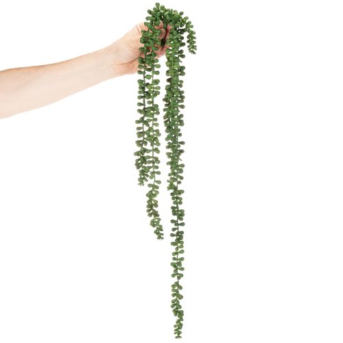 Kunstpflanze Guirlande Suspendue Succulente 80 cm Vert | Floristik24.fr