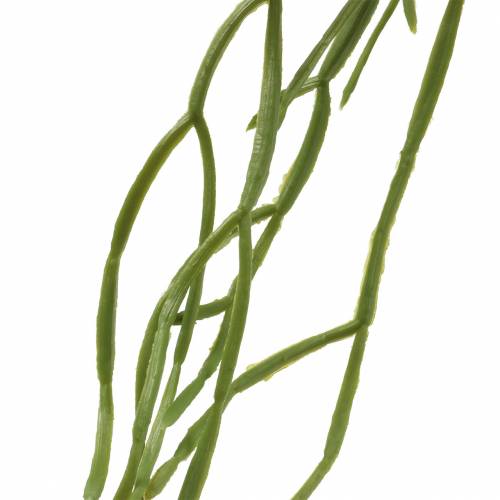 Floristik24 Succulente artificielle à suspendre verte 110cm