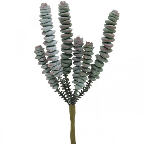 Floristik24 Succulente artificielle verte, rouge Plante artificielle à coller 19cm