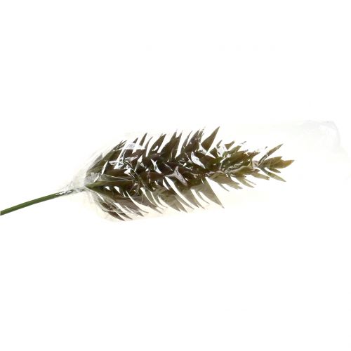 Article Branche de succulente brun clair 48 cm