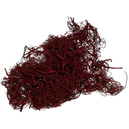 Floristik24 Fibre de Tamarin 500g Vin Rouge