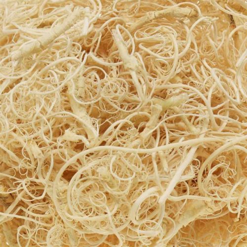 Floristik24 Fibre de Tamarin 500g blanchie