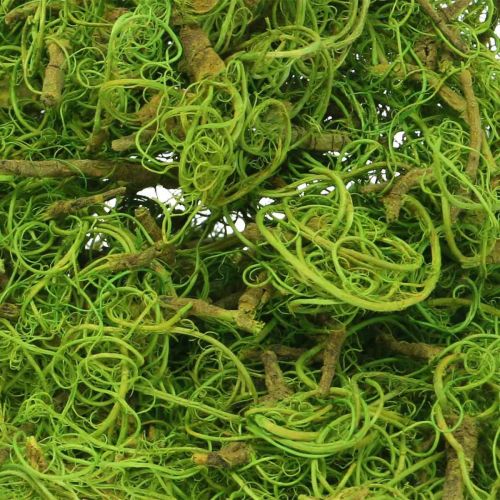 Article Fibre de Tamarin Fibre Naturelle Vert Clair pour l&#39;Artisanat et la Décoration 500g