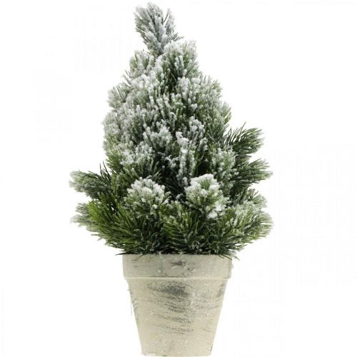 Floristik24 Mini sapin de Noël en pot enneigé artificiellement Ø18cm H32cm