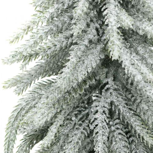 Floristik24 Sapin décoratif avec neige, décoration de l'avent, sapin en pot H37cm