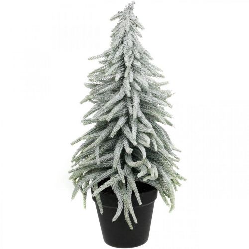 Floristik24 Sapin d&#39;hiver en pot, décoration de Noël, sapin avec neige H45cm