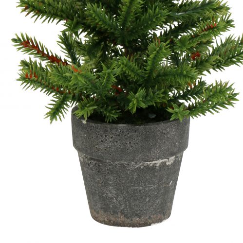 Floristik24 Sapin en pot vert 23cm