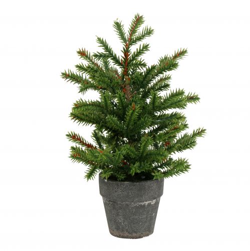 Floristik24 Sapin en pot vert 23cm