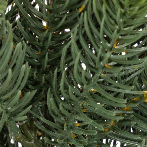 Lot de 3 branches artificielles de sapin 50 cm pour décoration festive | Floristik24.fr